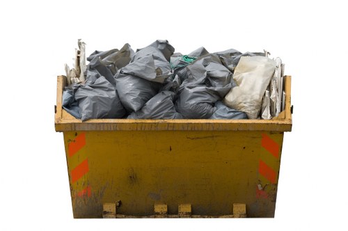 Professional team assisting with skip placement